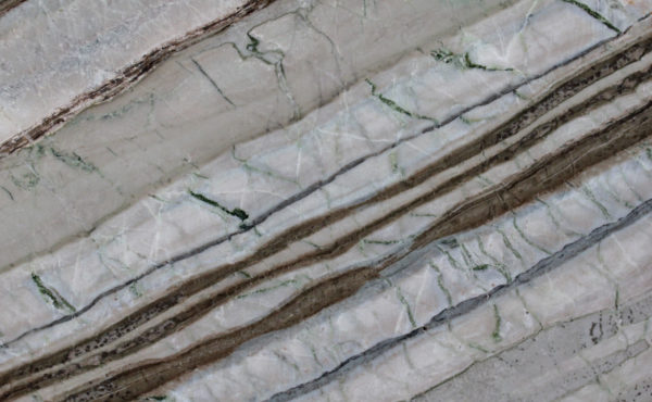 Corteccia