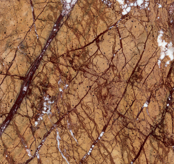 Rain Forest Gold